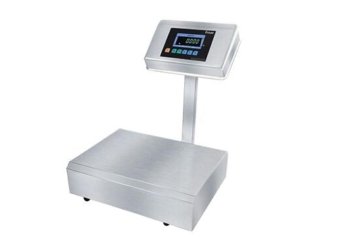 Fully SS Bench Weighing Machine